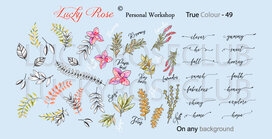 LoveNess | True Colour 49