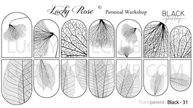 Black Series 31 by #LVS