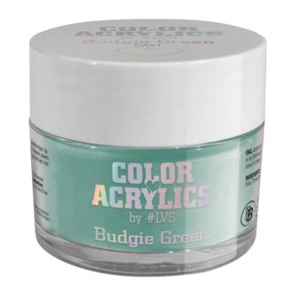 Color Acrylics by #LVS | CA51 Budgie Green 7g