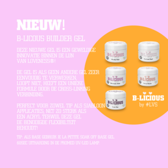 Opleiding | Online Training B-Licious Glitterboom by BiBi