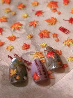 Herfst Nail Art Stickers 02