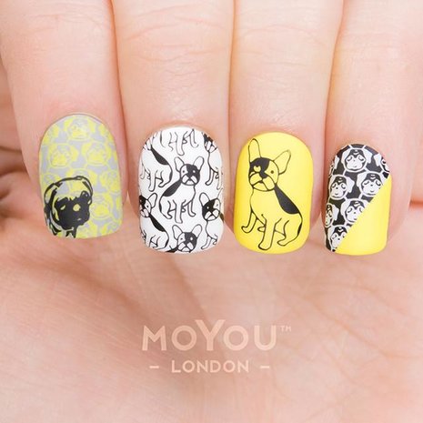 MoYou London | Animal 09