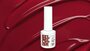 La Petite Gel Polish by #LVS | LP001 Crimson Allure 7ml_